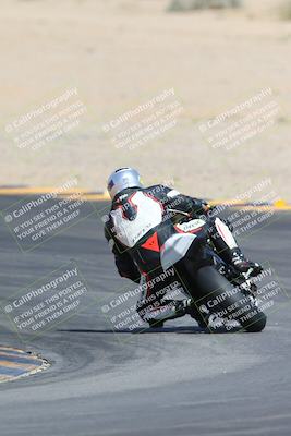 media/Mar-10-2024-SoCal Trackdays (Sun) [[6228d7c590]]/9-Turn 8 Backside (1150am)/